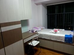 Blk 1B The Pinnacle@Duxton (Bukit Merah), HDB 4 Rooms #567739621